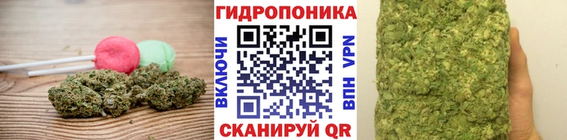 Cannafood конопля  Приозерск 