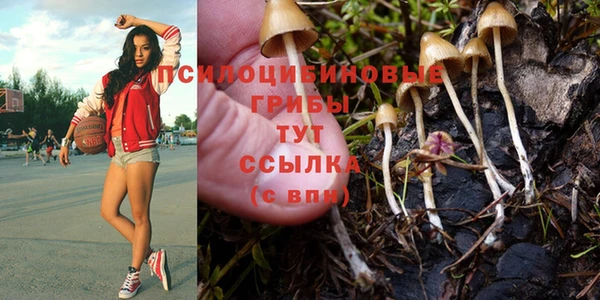 PSILOCYBIN Алексин